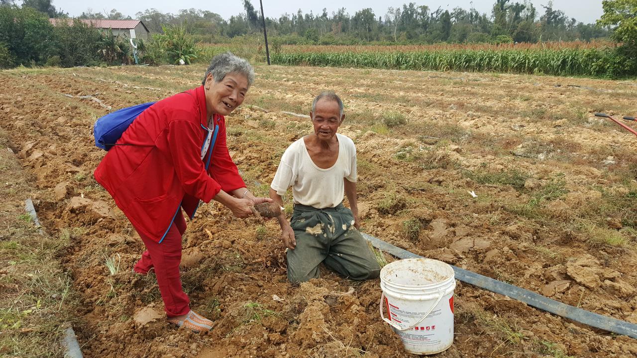 Qg Life 城中館 寵物親子釣魚人民宿 Jincheng Extérieur photo